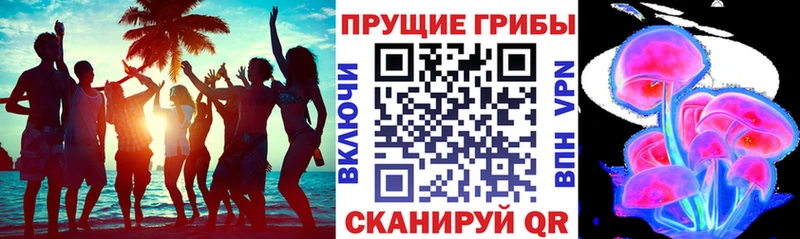 Псилоцибиновые грибы Psilocybine cubensis  Тихвин 