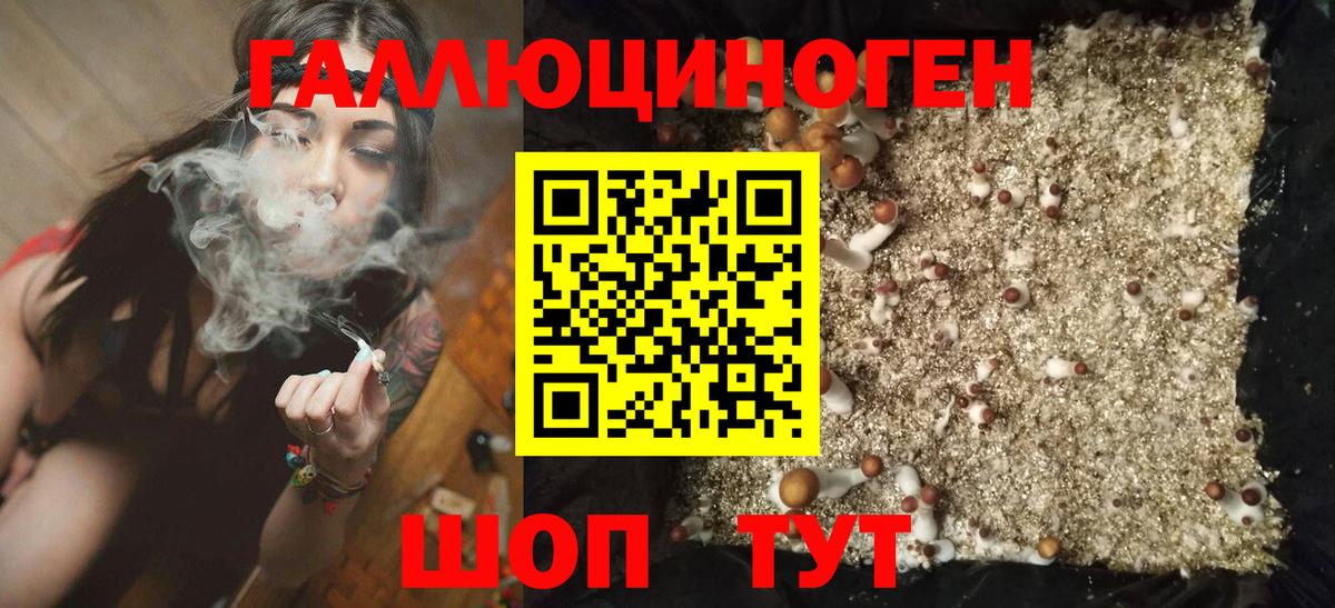 Псилоцибиновые грибы Psilocybe  Галлюциногенные грибы GOLDEN TEACHER  Тихвин  где найти наркотики  Вход с VPN 